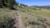 Looking out toward Cedar Breaks