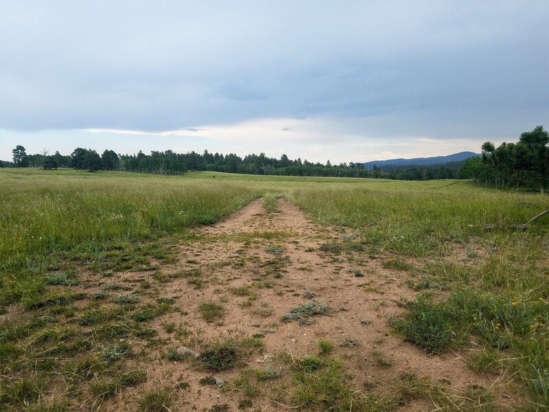 Meadow near road where most dirt bikes stage.