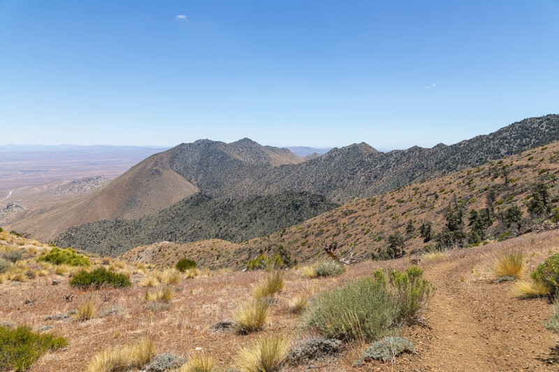 The ridge east of Morris Peak.