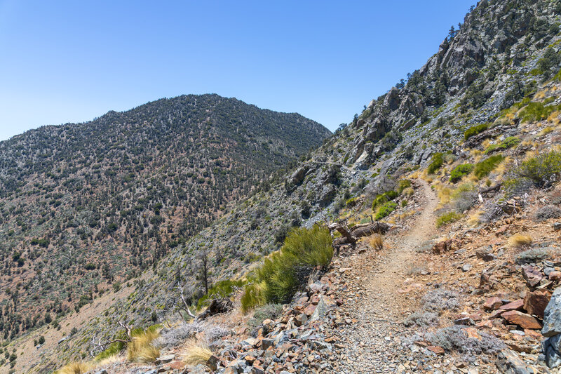 Approaching the saddle between Mount Jenkins and Morris Peak.