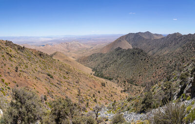 Side canyon north of Morris Peak.