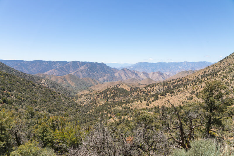Three Pines Canyon
