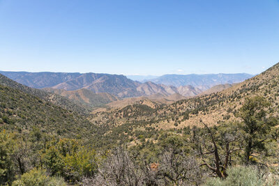 Three Pines Canyon
