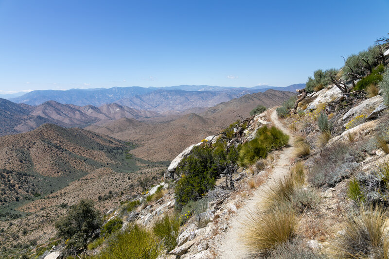 Domeland Wilderness in the distance.