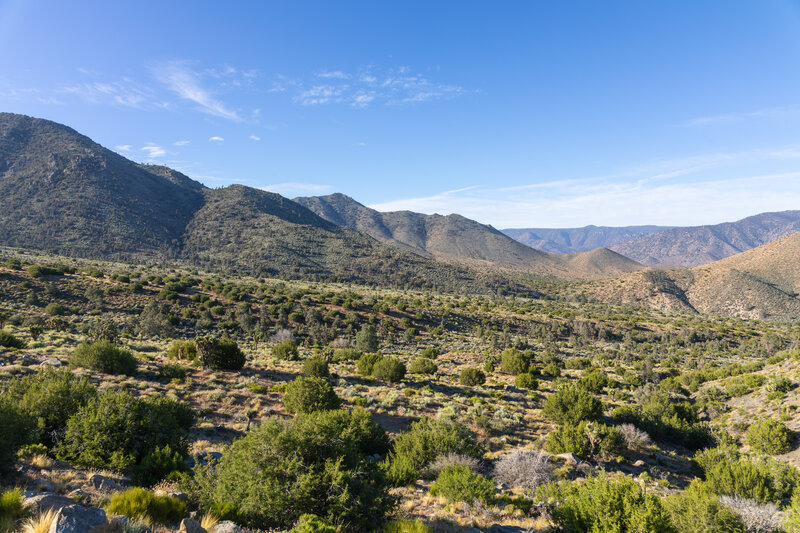 Cow Canyon