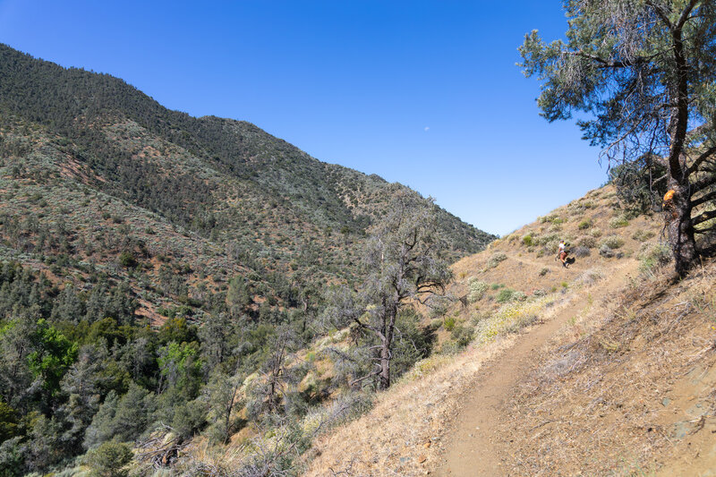 The beginning of a long ascent from Spanish Needle Creek.