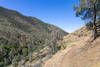 The beginning of a long ascent from Spanish Needle Creek.