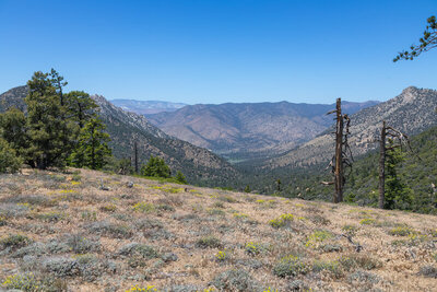 Lamont Meadow in the distance.