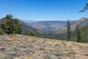 Lamont Meadow in the distance.