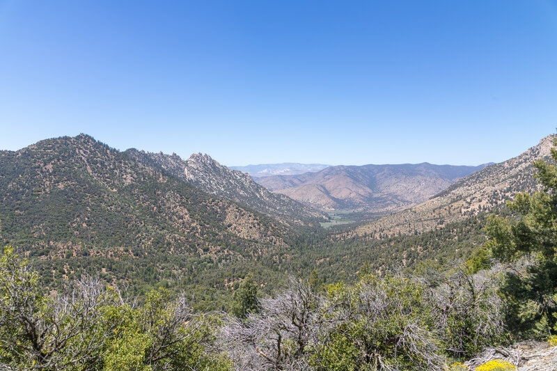 Lamont Meadow
