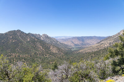 Lamont Meadow