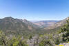 Lamont Meadow