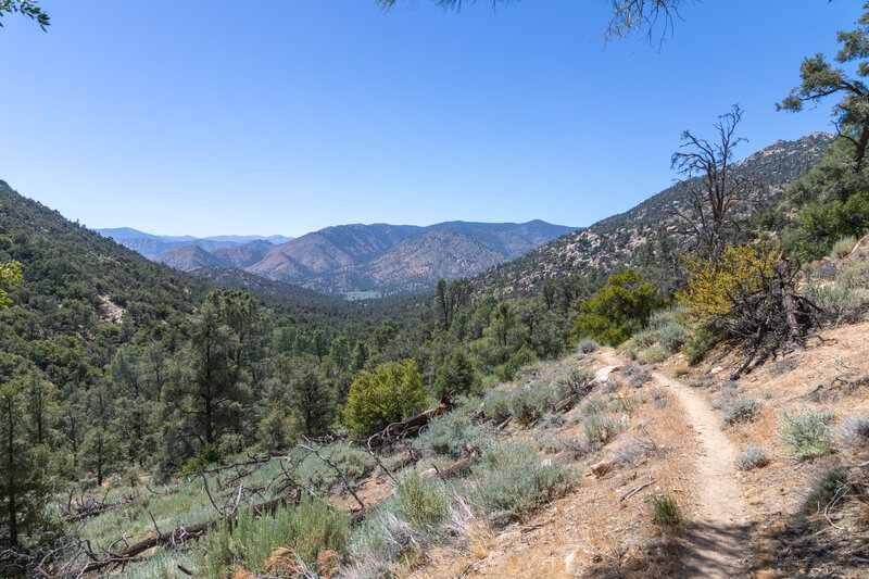 View west towards Domeland Wilderness.