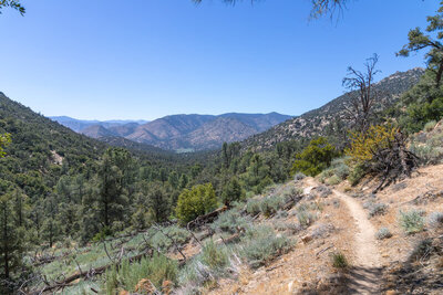 View west towards Domeland Wilderness.