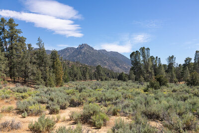 Lamont Meadow with Lamont Peak in the distance.
