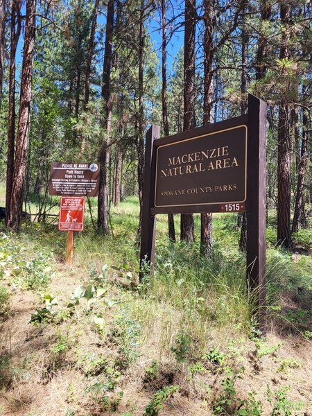 Drive 0.4 miles further to get to parking area marked by this sign.