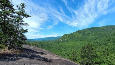 View from the bald.