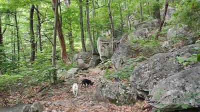 Boulder field at the southern end of the trail.