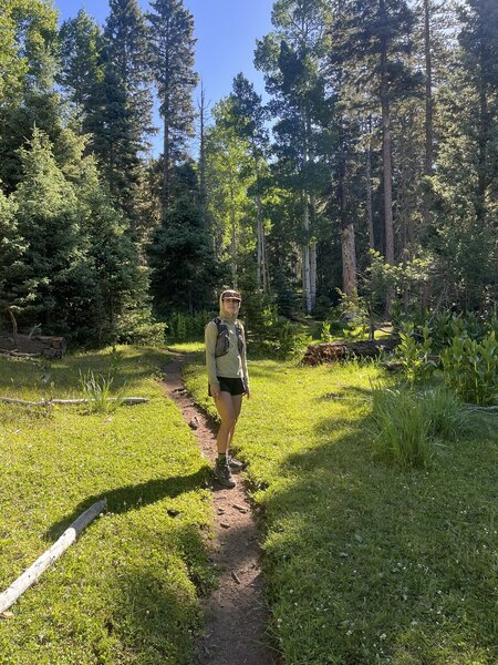 Unreal wonderland trail