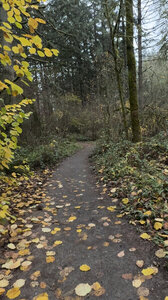 The beginning of the trail; pea-gravel.