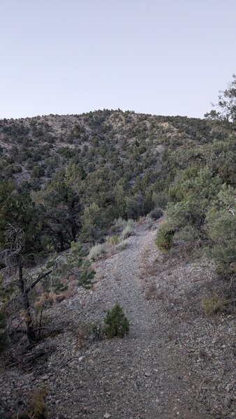 Typical trail condition. Easy to follow. Low areas get soft in the washes. High areas get rocky on the ridges.