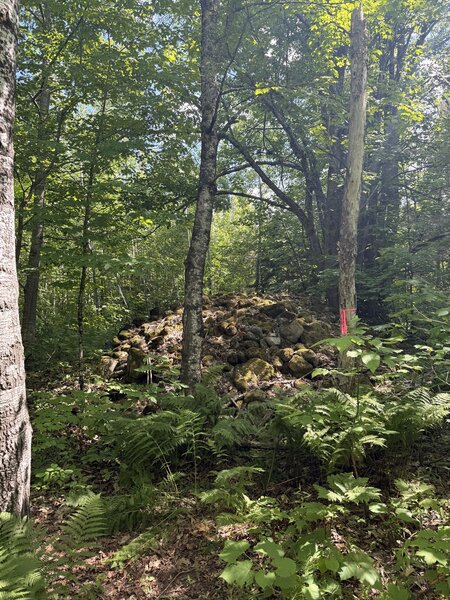 Historic Larson Potato Farm rock pile.