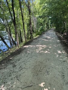 A section of the Wildwood Trail, which circles around Barber Lake.