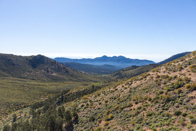 Looking across the area burned by the 2000 Manter Fire.