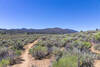 Kennedy Meadows
