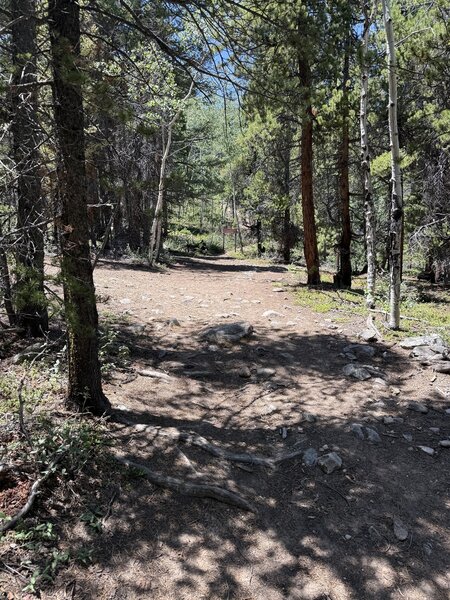 The end of the road/start of the trail.