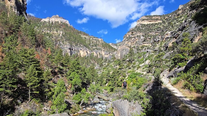 Tongue River Canyon