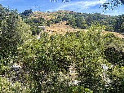 7/1/2026 - View over the Eastport area of Sibley from the Pacific Pea Trail.