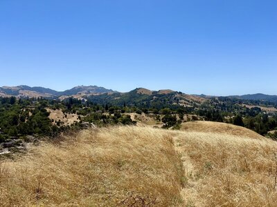 7/3/2026 - View of Rocky Ridge (center-left) and Las Trampas Peak (left) from the southern viewpoint on the Mulholland Ridge Trail.