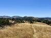 7/3/2026 - View of Rocky Ridge (center-left) and Las Trampas Peak (left) from the southern viewpoint on the Mulholland Ridge Trail.