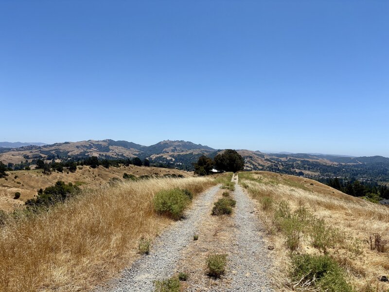 7/3/2026 - The Donald Reservoir Trail as it descends the ridge. The hills in the background are Las Trampas Peak (left) and Rocky Ridge (center).