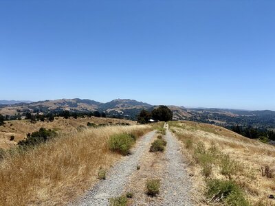 7/3/2026 - The Donald Reservoir Trail as it descends the ridge. The hills in the background are Las Trampas Peak (left) and Rocky Ridge (center).
