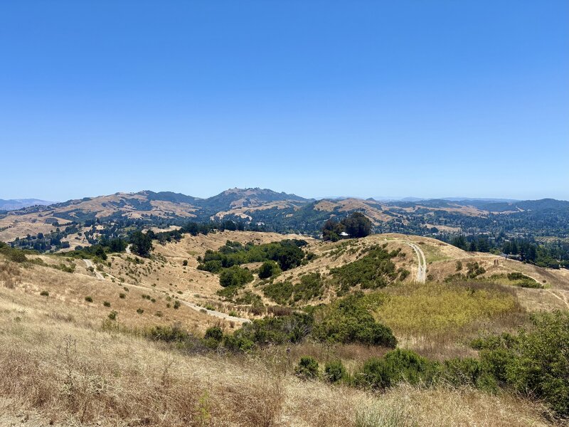 7/3/2026 - View from the vista point at the end of the Donald Drive Trail. In the mid-ground is the Mulholland Ridge Trail (left) and the Donald Reservoir Trail (center), and in the background are Las Trampas Peak (left) and Rocky Ridge (center).