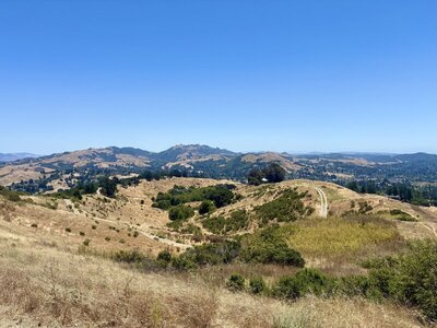 7/3/2026 - View from the vista point at the end of the Donald Drive Trail. In the mid-ground is the Mulholland Ridge Trail (left) and the Donald Reservoir Trail (center), and in the background are Las Trampas Peak (left) and Rocky Ridge (center).