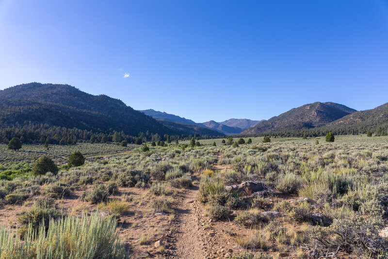 Heading north towards the South Sierra Wilderness.