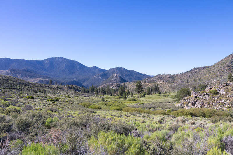 Clover Meadow from the Pacific Crest Trail.
