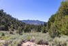 Wildrose Meadow