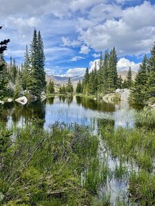 Pond Near Lake Helen