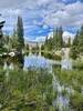 Pond Near Lake Helen