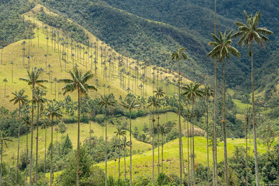 One of the best places to hike in Colombia.