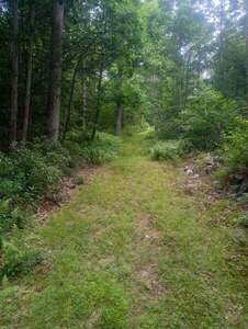 Shade Path - Good climb