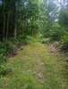 Shade Path - Good climb