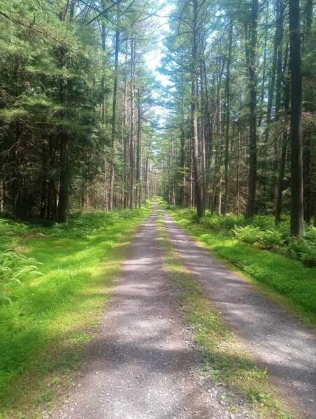Hall Mt. Group Camping Site Drive