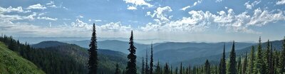 The Selkirk Mountains go on forever when looking east, from near the south end of Shedroof Divide Trail.