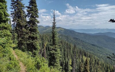 High on Shedroof Divide Trail, the Selkirk Mountains, near and far, are seen to the east.