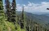 High on Shedroof Divide Trail, the Selkirk Mountains, near and far, are seen to the east.